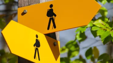 Two yellow hiking signs on a wooden post in a forest setting with green leaves.